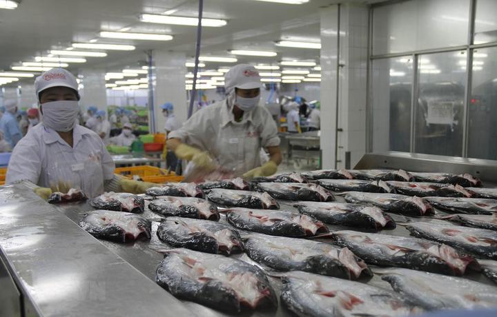 Cô giáo mầm non và hành trình