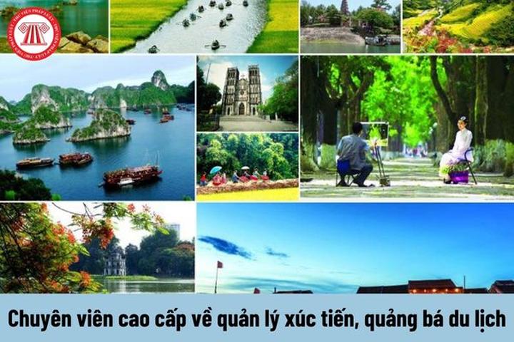 Mua váy hoa mà không biết 4 - Cảm hứng video marketing từ Hotspot Matrix