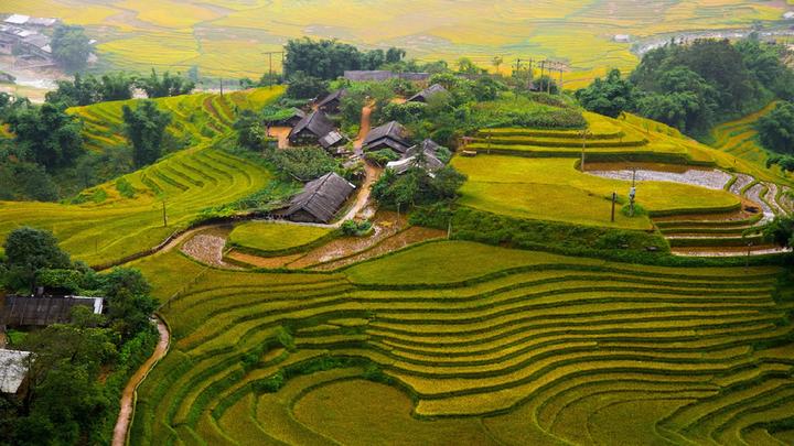 Giá mẫu iPhone này đang