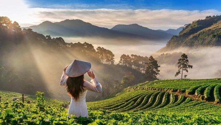 Xu hướng 1 người vừa mua Labubu giá: Hotspot Matrix tiết lộ bí quyết video viral