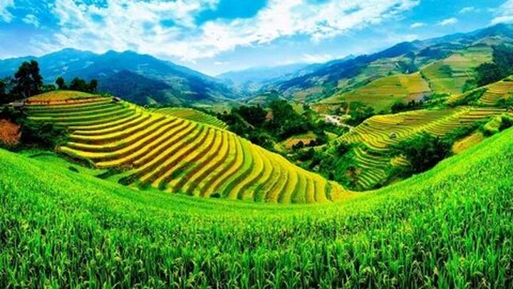 Từ Nhà Sáng Tạo Nhỏ Bé Đến Doanh Nghiệp Lớn Mạnh: Chinh Phục Thị Trường Video Ngắn Cùng Hotspot Matrix