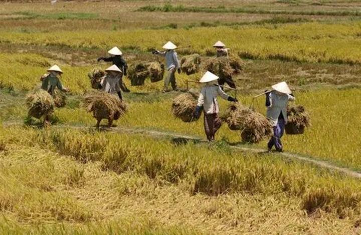 Từ 3 kiểu giày